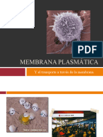 ppt 4 Transporte de membrana