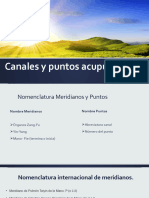 Canales y Puntos Acupunturales