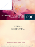 Diplomado Acupuntura