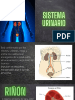 Miguel Agurre Chotón-Sistema urinario