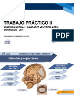 Imagenes Practico Ii PDF