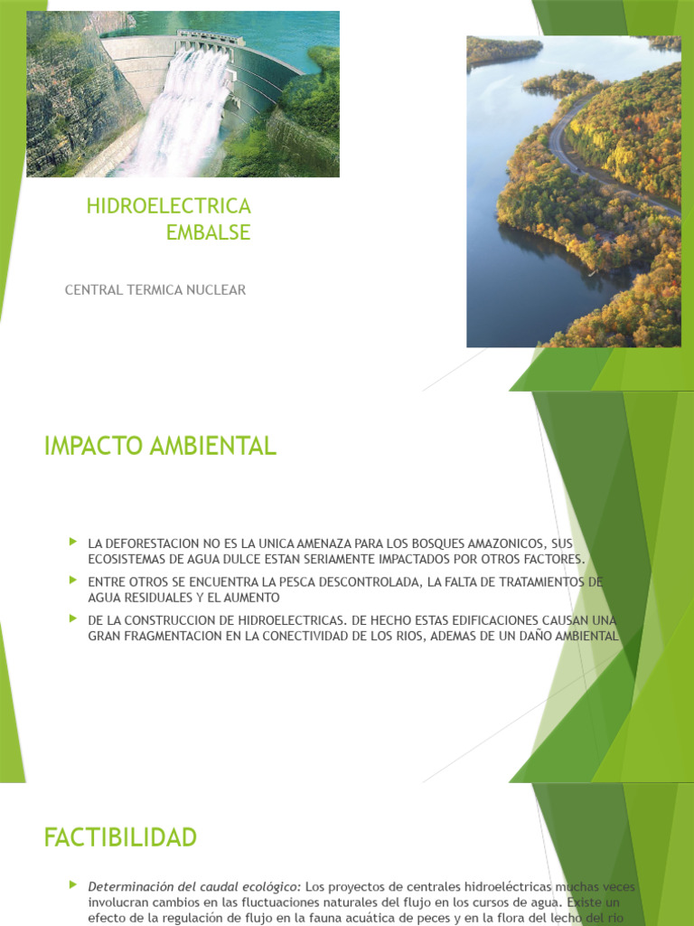 Impacto Ambiental de Hidroeléctricas | PDF | Hidroelectricidad | Agua