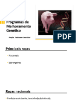 2.1 Raças e Programas de Melhoramento Genético