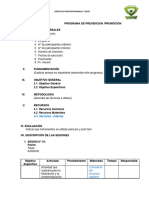 ESQUEMA PROGRAMA PREVENCION-PROMOCION.docx