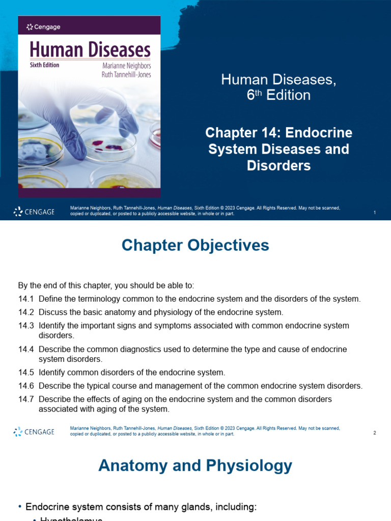 Endocrine System Diseases Overview | PDF | Adrenal Gland | Endocrine System