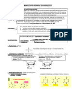 COMPOSICIÓN QUÍMICA 2024 (1)