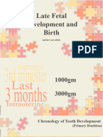 Growth - Late Fetal Development