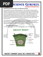 Internal Morphology of Monocot and Dicot Roots | PDF | Root | Plant Stem