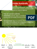 Fotosíntesis Respiración Fermentación 2023