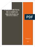 Caixa-de-Laminas-escaneadas-Volume-I Agravos