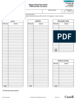T2sch100-Fill-20e - Balance Sheet Information