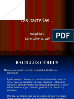 Las_bacterias_1