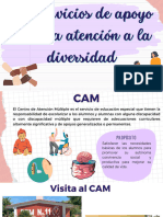 Los Servicios de Apoyo para La Atención A La Diversidad