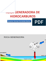 4.  PRESENTACION DE ROCA GENERADORA
