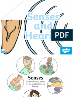 T T 13324 KS1 Science Senses Hearing Powerpoint