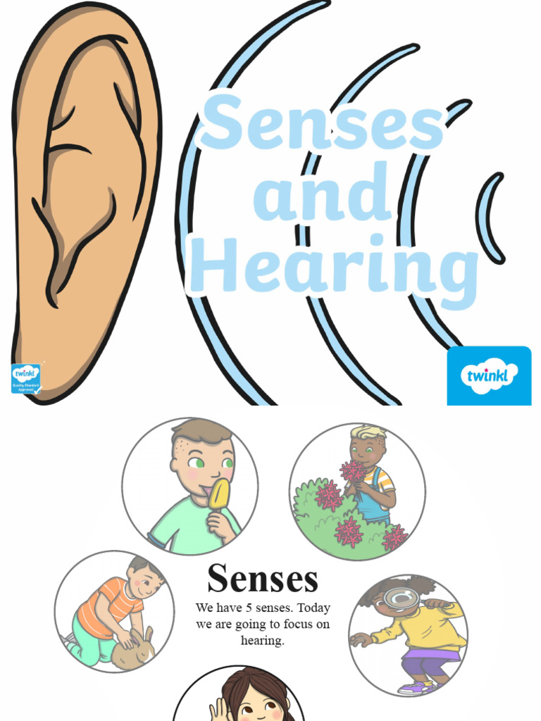 T T 13324 KS1 Science Senses Hearing Powerpoint | PDF | Language Arts ...