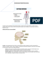 Neuroanatomofisiologia Resumo