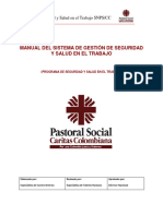 Manual Del SG - SST