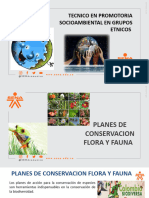 Presentación Planes de Conservacion Flora Fauna