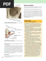 Head and Neck Sensory Innervation