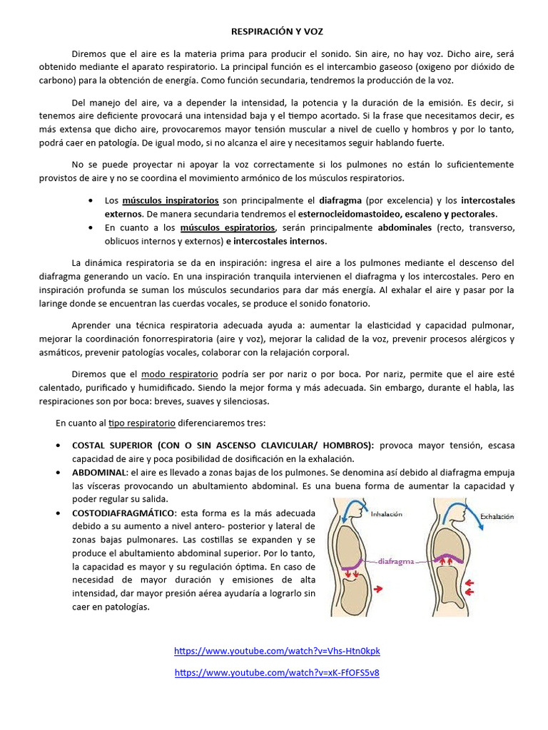 Importancia de la Respiración en la Voz | PDF | Respiración | Sistema ...