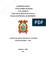 Proyeccion Social Policia Saludable 2019
