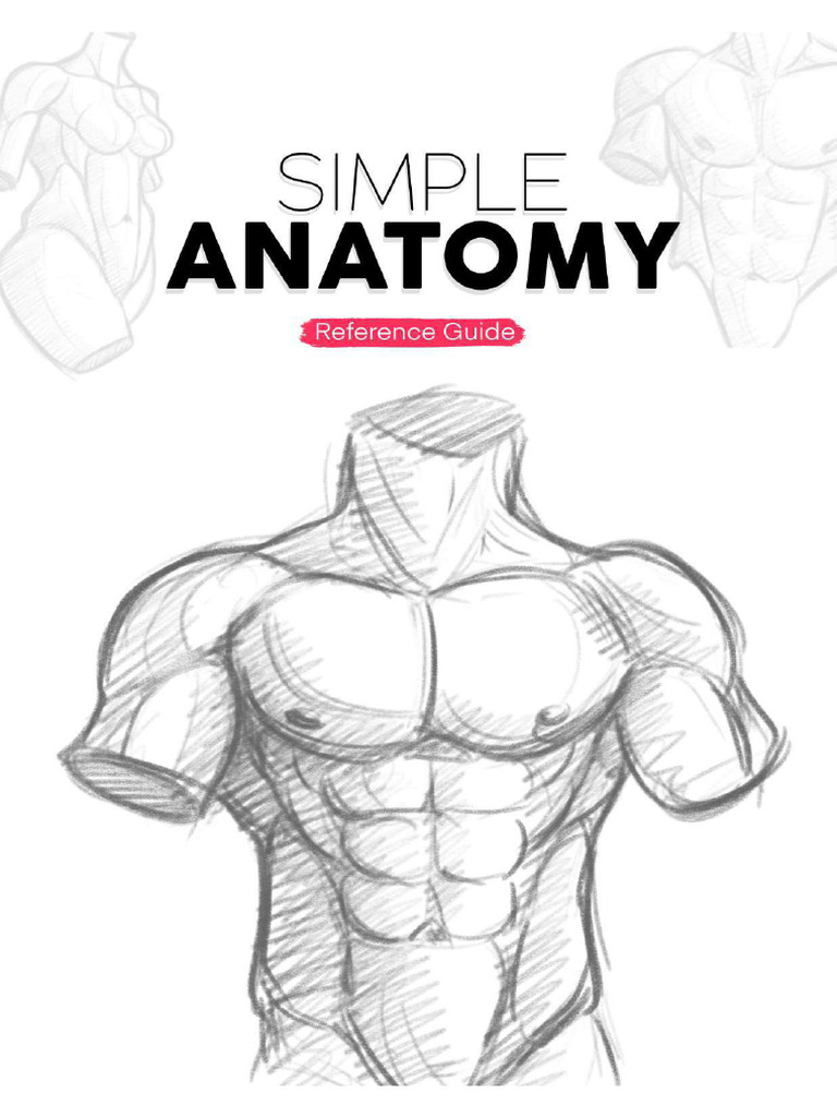 Simple Anatomy Guidebook | PDF