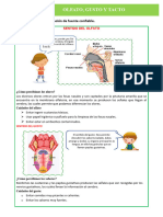 D2 A3 FICHA CT. OLFATO, GUSTO Y TACTO