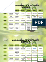 Cronograma de Actividades