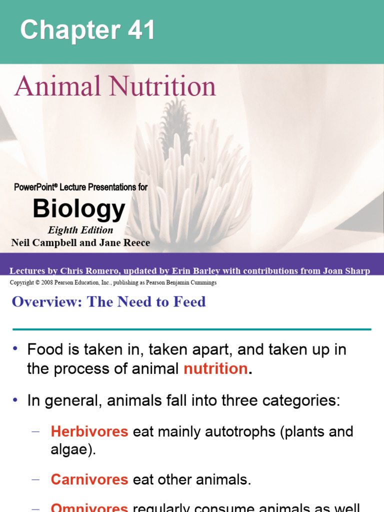 41 Lecture Presentation 0 | PDF | Stomach | Digestion