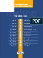 Ulceras vasculares. Pie diabetico