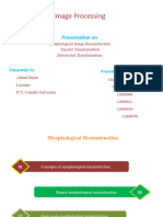 Morphological Reconstruction & Top-Hat and Bottom-Hat (Group-B)