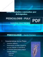 Pediculosis - Pulicosis