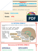 Clase 4 de Psico