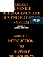 Juvenile Module 1