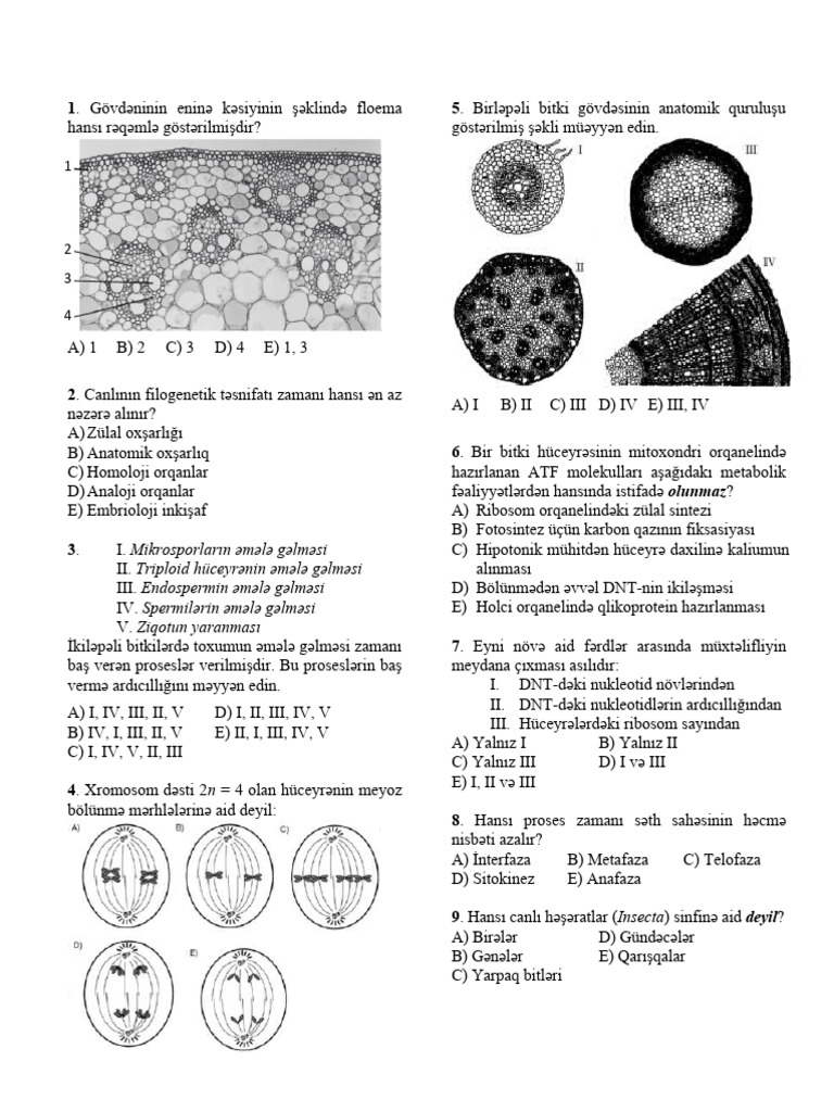 Suallar 19 04 2023 | PDF