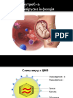 през внутрішньоутробні інфекції