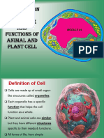 MODULE - 4 - Introduction To Cell Structure and Functions of Animal and Plant Cell