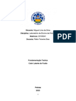 Fundamentação_Téorica_Calor_Latente