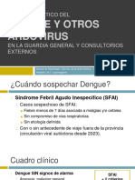 Manejo Práctico Del Dengue y Otros Arbovirus