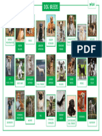 Dog Breeds Display Poster