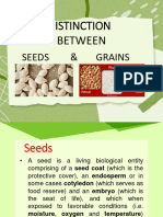 4th-Distinction-Between-Seed-and-Grain