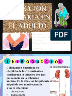 Infeccion Urinaria en El Adulto Mayor: Docente: Dr. Bresnev Mendoza Interna: Flores Chanez Arleth Sdenka Oruro 31-01-24