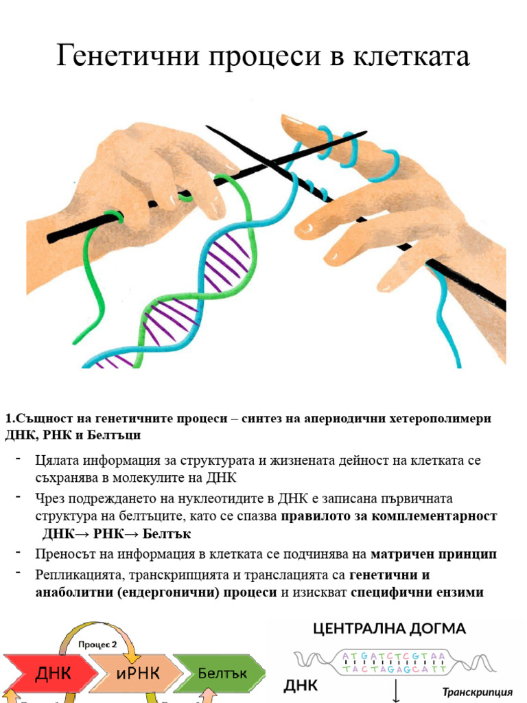 19.Генетични процеси | PDF