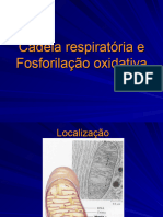 Cadeia Respiratória e Software