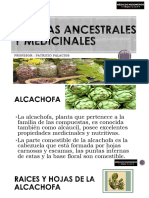 Plantas Ancestrales y Medicinales Clase #15