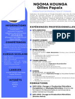 Emploi.cg Cv Gilles Papaix Ngoma Kounga Db54b92a