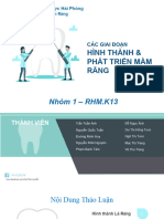 Hình Thành Và Phát Triển Mầm Răng