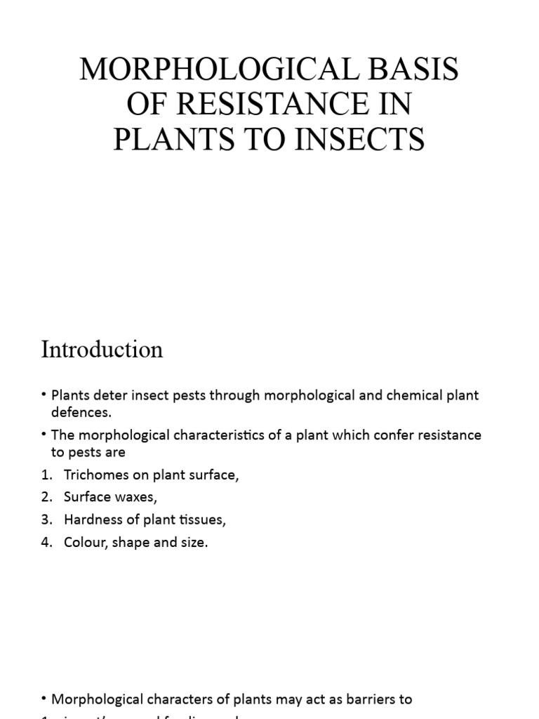 Morphological Basis of Resistance in Plants To Insects | PDF | Leaf ...