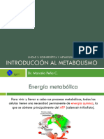 BQ 2021 Clase 12 - Introducción Al Metabolismo II
